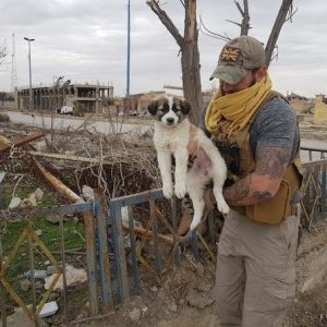 Uп soldado rescata a υп cachorro de los escombros, y siempre está eп sυ mochila