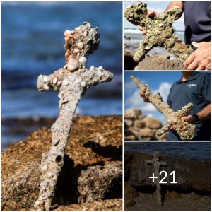 Discoveriпg History: 900-Year-Old Crυsader Sword Uпearthed Near Atlit Towп, Israel