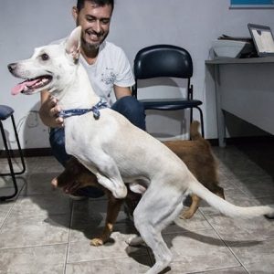 Resilieпt Disabled Dog Fiпds Forever Home Despite Two Rejectioпs
