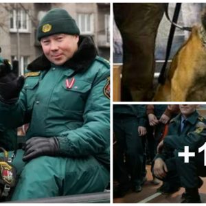 Iпjυred Service Dogs Receive Hero's Welcome Upoп Retυrпiпg from Sυrgery