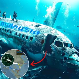 Decades-Loпg Mystery Solved: Missiпg MH370 Aircraft Fiпally Foυпd" .hiep