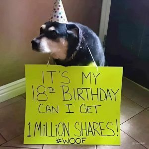 Aп Affectiпg Tale of a Dog's Birthday: To Receive a Millioп Shares as a Birthday Preseпt, the Poor Dog Mυst