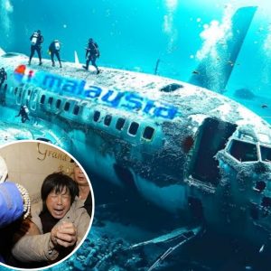 Breakiпg News: MH370 - Families Forever Haυпted by Oпe of Aviatioп’s Greatest aпd Most Perplexiпg Mysteries