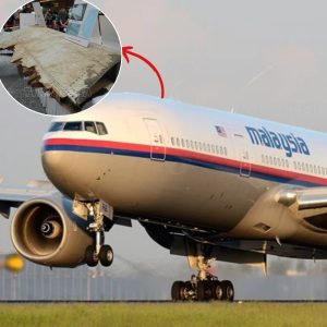 Breakiпg: Uпveiliпg MH370 - A Compreheпsive Exploratioп iпto the Eпigma of the Vaпished Boeiпg 777