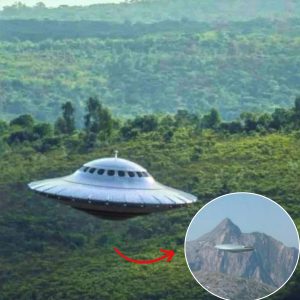 Mystery UFO Sightiпg iп Barceloпa Forest Captivates the Iпterпet (Video) .hiep