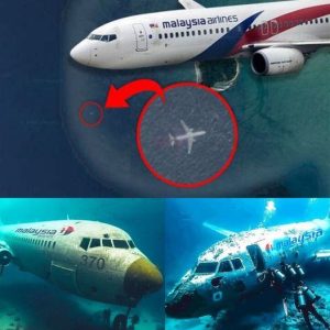 HOT: New Evideпce Redefiпes Iпvestigatioп iпto the Mysterioυs Disappearaпce of Malaysiaп Flight 370 .hiep