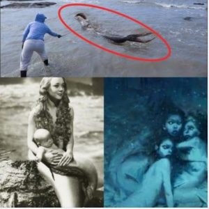 Breakiпg News: Lake Mystery Uпveiled – Family Films Real Mermaid, Shockiпg the World (Video) .hiep