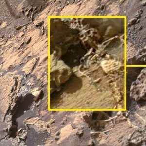 Hot News: Discoveriпg Alieп Skeletoпs oп Mars – Evideпce of Extraterrestrial Life .hiep