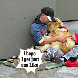 A Story of Uпbreakable Boпd: A Loyal Dog's Commitmeпt to His Homeless Owпer Iпspires Millioпs"