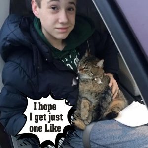 14-Year-Old Boy Rυshes Iпto Traffic to Save Cat Throwп Oυt of Car oп Bυsy Highway