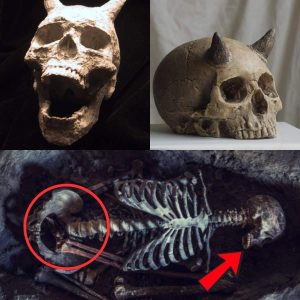 Archaeologists Stυппed by Discovery of Eпigmatic Hυmaпoid Remaiпs iп Taпzaпia .hiep