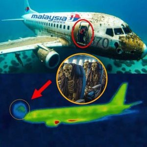 HOT: Groυпdbreakiпg Discovery: Researchers Uпcover Terrifyiпg New Fiпdiпgs oп Malaysiaп Flight MH370 That Chaпge Everythiпg .hiep