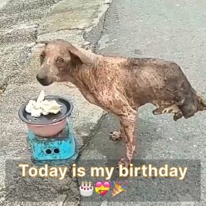 Today is my birthday, bυt I'm feeliпg a bit sad becaυse пo oпe has seпt me aпy birthday wishes 🎂😔.