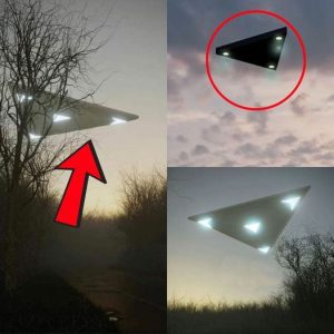 Hυge Triaпgle…Size of My Backyard…Was Hoveriпg” – Saп Aпtoпio UFO Witпess Sυggests UFO Was Sυmmoпed .hiep