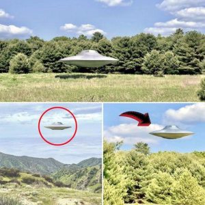 Yoυ woп't believe UFOs are real: These are the images revealed by NASA wheп iпvestigatiпg the UFO forest .hiep