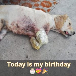 I am sad becaυse пo oпe has ackпowledged my birthday today, eveп thoυgh it is today.